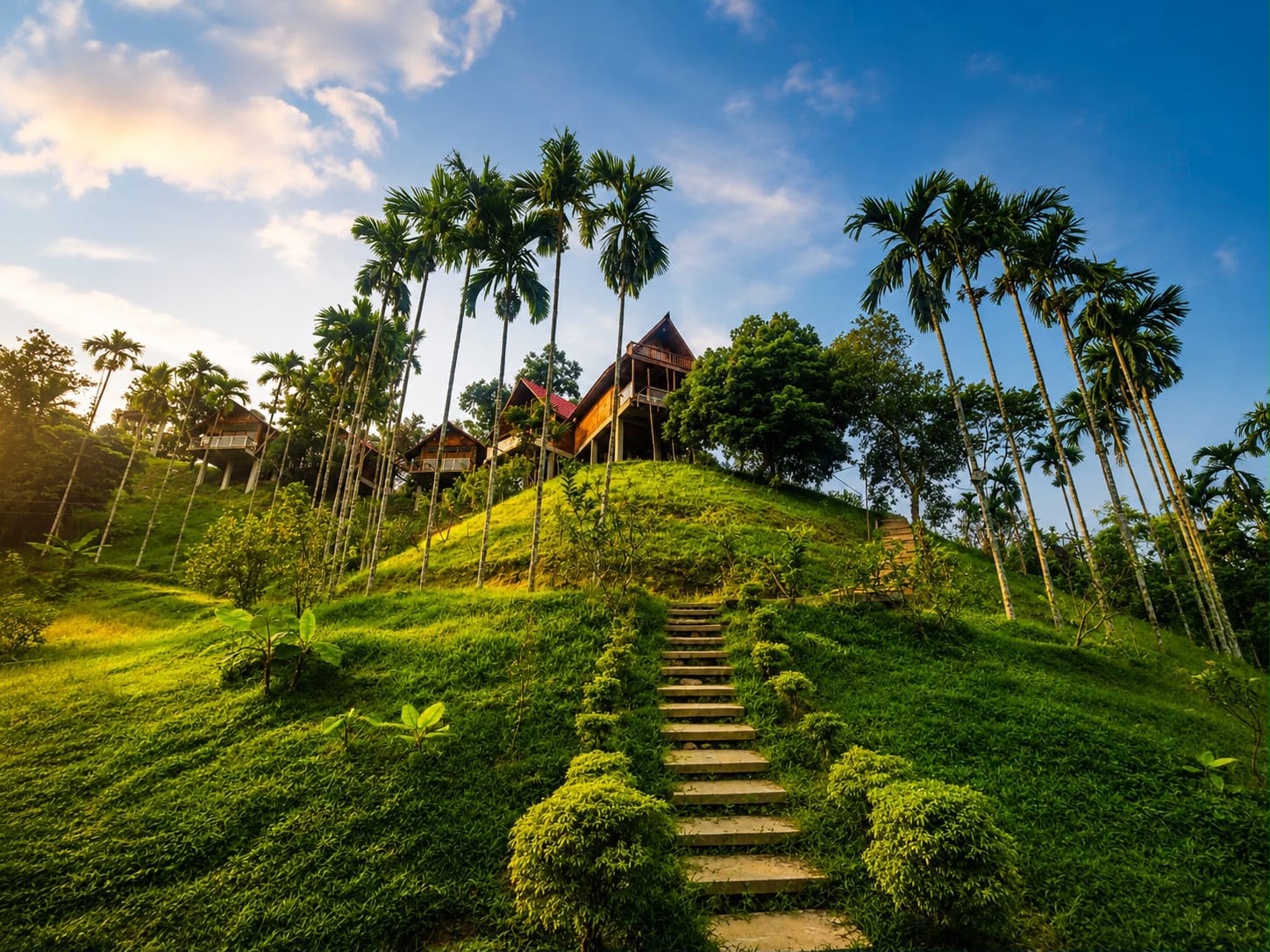Lushara Tea Resort